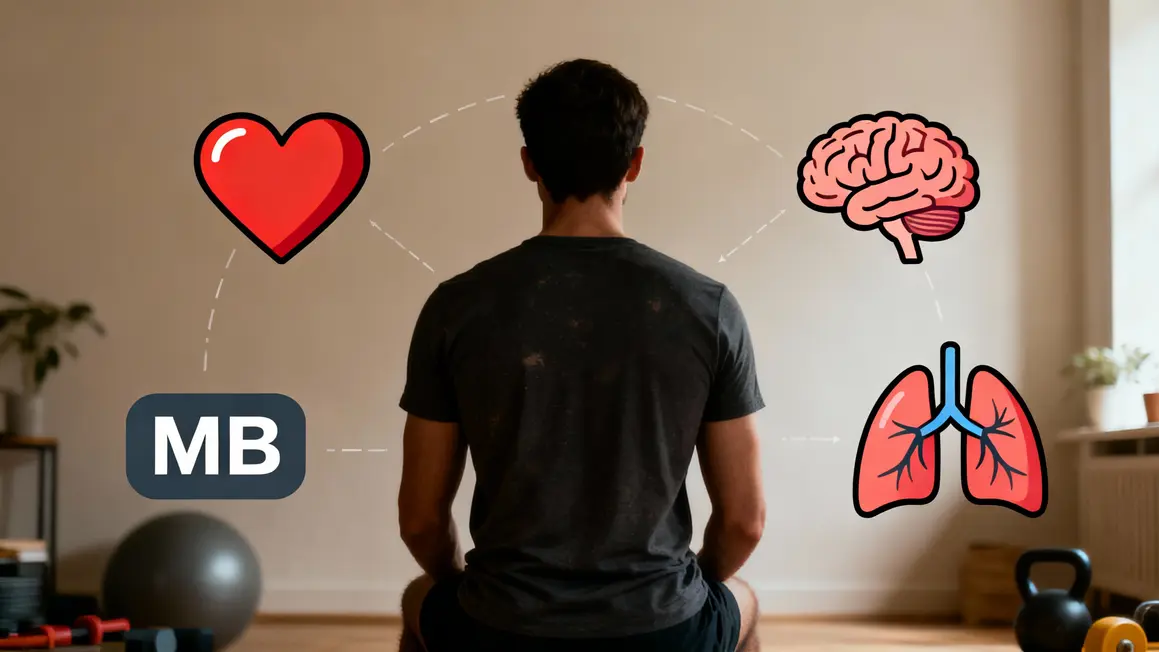 Schéma silhouette et icônes du métabolisme de base